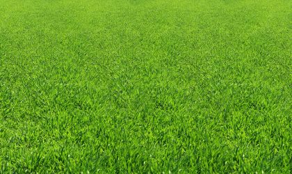 overseeding is smart olutions for Drought Recovery Lawn Care in Indiana | September 2025 Tips