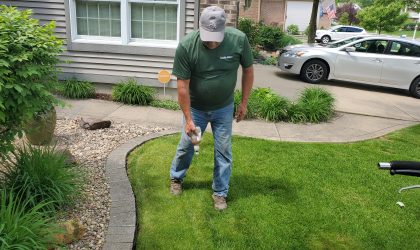  Fall Lawn Fertilizer & winterization is a great time to start your lawn care plan!