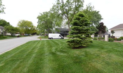 4 Types of Lawn Fungus in Northwest Indiana (And How to Tell Them Apart)