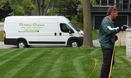 brown patch lawn fungus solltions for home owners 