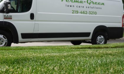 lawn disease in nwi is looked at and solutions for getting through it