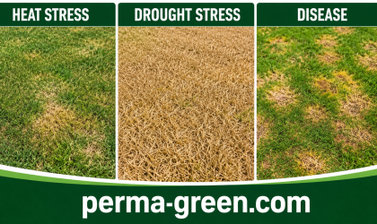 perma-green identifies lawn disease- identifying correctly is critical and why local expertise matters